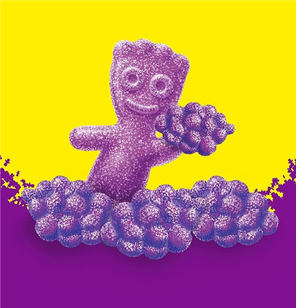 SOUR PATCH KIDS Grape Soft & Chewy Candy 8.02 oz-back