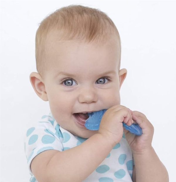 Nuby Silicone Teethe-eez Teether with Bristles Includes Hygienic Case Blue-back 2